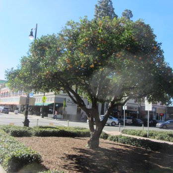 Orange Circle & Old Towne Orange - Local Flavor Near Me - Orange, California Orange Circle & Old Towne Orange - Local Flavor Near Me - Orange, California