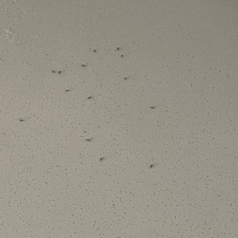 580 Anton by Legacy Partners - Ants!!!!!!! - Apartments Near Me - Costa Mesa, California 580 Anton by Legacy Partners - Ants!!!!!!! - Apartments Near Me - Costa Mesa, California