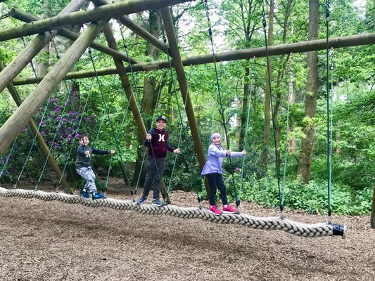 Thetford Forest by null