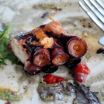 Persimmons Waterfront Restaurant - A slice of grilled octopus. - New American Near Me - New Bern, North Carolina Persimmons Waterfront Restaurant - A slice of grilled octopus. - New American Near Me - New Bern, North Carolina