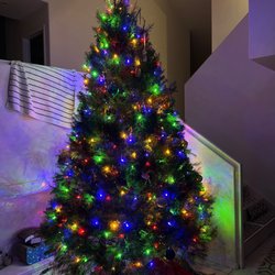 Habilitat Christmas Trees