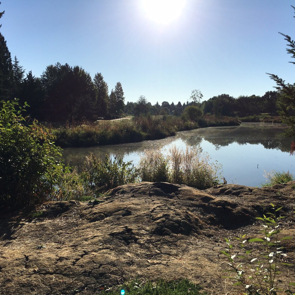 Summerlake Park - The lake. - Parks Near Me - Tigard, Oregon Summerlake Park - The lake. - Parks Near Me - Tigard, Oregon