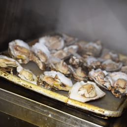 Oysters
