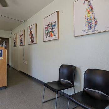 Lodi Animal Hospital - Veterinarians Near Me - Lodi, California Lodi Animal Hospital - Veterinarians Near Me - Lodi, California