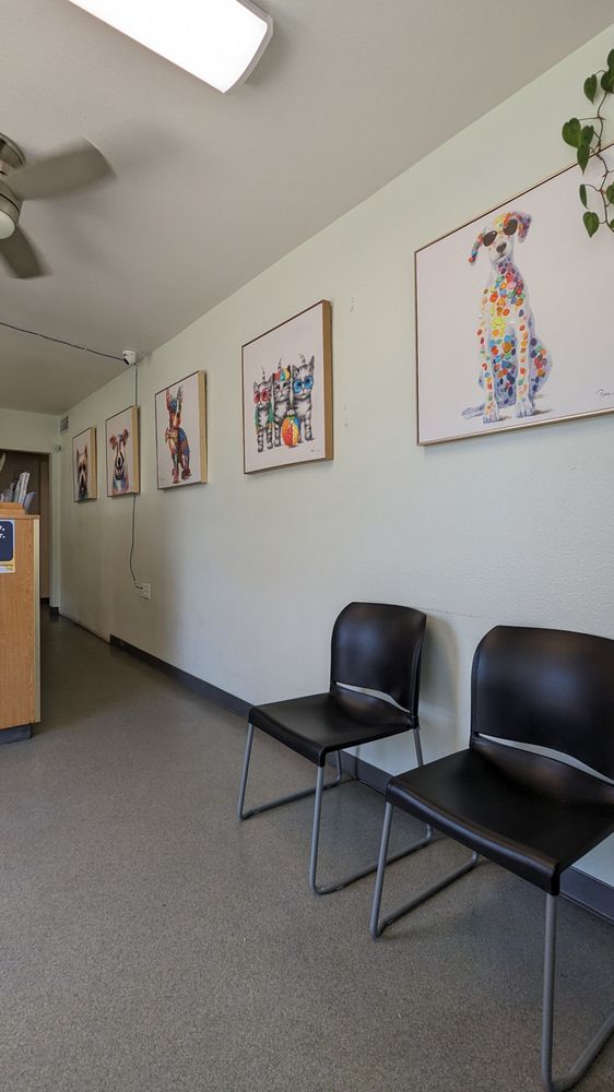 Lodi Animal Hospital - pet boarding facility in Lodi, CA