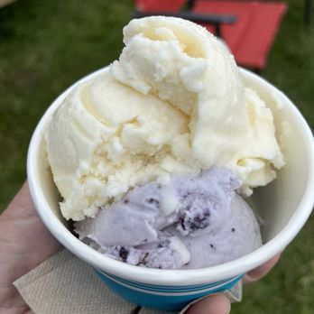 Stone Fox Creamery - Blueberry and lemon - Ice Cream & Frozen Yogurt Near Me - Searsport, Maine Stone Fox Creamery - Blueberry and lemon - Ice Cream & Frozen Yogurt Near Me - Searsport, Maine