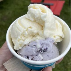 Stone Fox Creamery - Blueberry and lemon