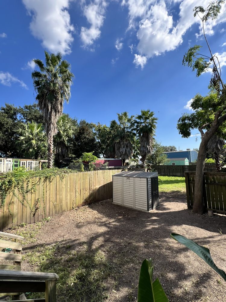 Tinn Tree Company - tree service in New Orleans, LA