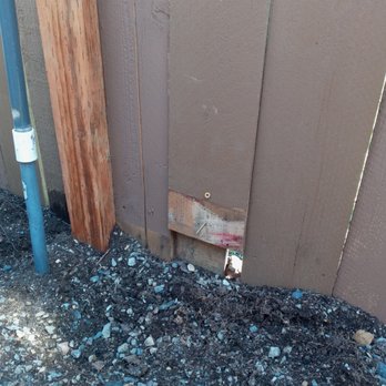 ECMP Landscaping - a hole in a fence - Landscaping Near Me