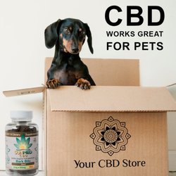 Your CBD Store - Lorain