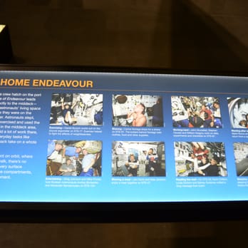 Space Shuttle Endeavour - Museums Near Me - Los Angeles, California