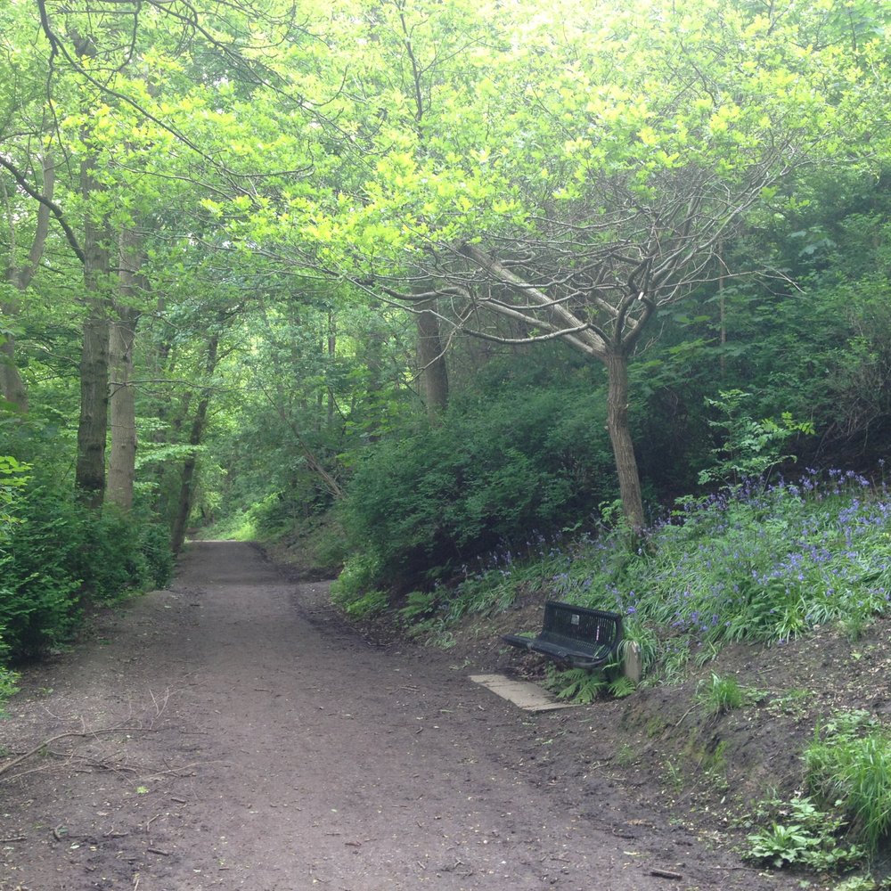Woodhouse Ridge - Parks Near Me