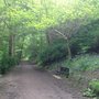 Photo of Woodhouse Ridge
