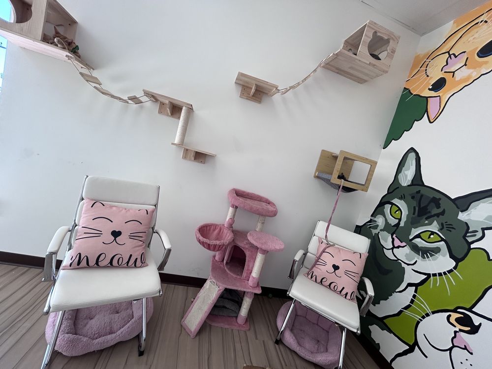 The Cattitude Cafe Logo