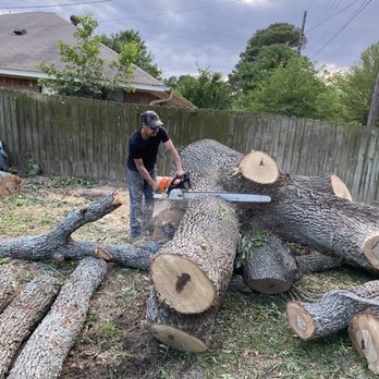 Green Crest Timber - Tree Services Near Me - Kaufman, Texas Green Crest Timber - Tree Services Near Me - Kaufman, Texas