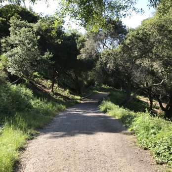 Wildcat Canyon Regional Park - Parks Near Me - Richmond, California Wildcat Canyon Regional Park - Parks Near Me - Richmond, California