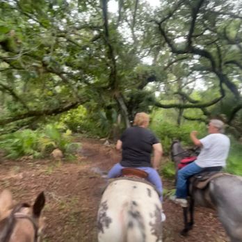 Wagon Wheel Horse Farm - Horseback Riding Near Me - Okeechobee, Florida Wagon Wheel Horse Farm - Horseback Riding Near Me - Okeechobee, Florida