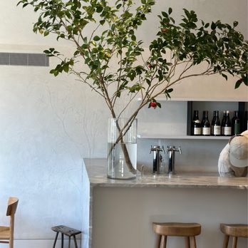 Carissa’s Bakery - a tree in a vase - Bakeries Near Me - East Hampton, New York