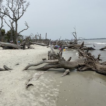 Driftwood Beach - Beaches Near Me - Jekyll Island, Georgia