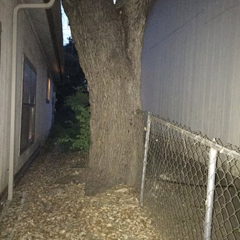 A Best Tree Service - Tree Services Near Me - San Antonio, Texas A Best Tree Service - Tree Services Near Me - San Antonio, Texas