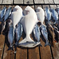 Pelican Inn Charters - Nice variety of fish today!