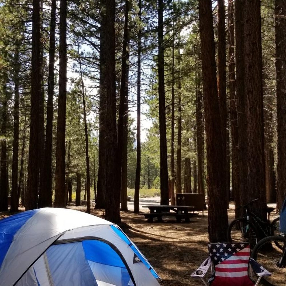 New Shady Rest Campground - Campgrounds Near Me - Mammoth Lakes, California New Shady Rest Campground - Campgrounds Near Me - Mammoth Lakes, California