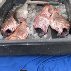 Sea Angel Sea Food