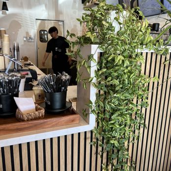 Phin Cafe - Interior - Coffee & Tea Near Me - Fremont, California Phin Cafe - Interior - Coffee & Tea Near Me - Fremont, California