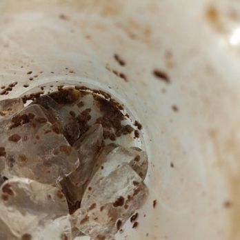 World Bean - Why use solid chocolate in an iced mocha? You get chocolate dirt at the bottom of the cup. Disappointing. - Coffee & Tea Near Me - Newark, New Jersey World Bean - Why use solid chocolate in an iced mocha? You get chocolate dirt at the bottom of the cup. Disappointing. - Coffee & Tea Near Me - Newark, New Jersey