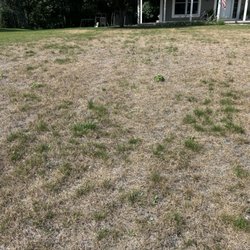 Custom Personalized Lawn Care