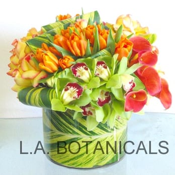 LA Botanicals - L'Orange - Florists Near Me - Los Angeles, California LA Botanicals - L'Orange - Florists Near Me - Los Angeles, California