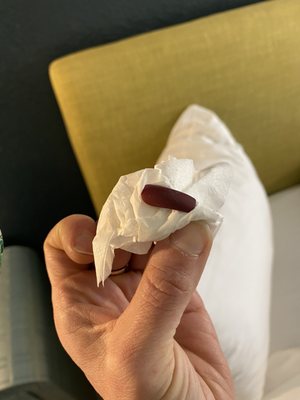 Downtowner Boutique Hotel by null