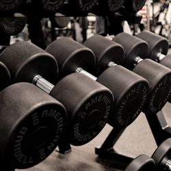 Forge Training and Performance - Forge Training and Performance weight section