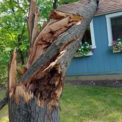 Aaron's Tree Service