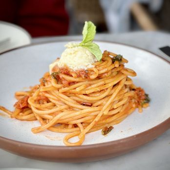 Terra - Lo Spaghetto al Pomodoro - Italian Near Me - Santa Clara, California