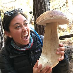 Flora & Fungi Adventures - Finding a big porcini while out on a led forage.