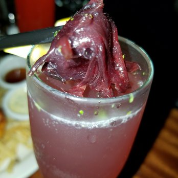 2637brew - Flowering Hibiscus - Bars Near Me - Philadelphia, Pennsylvania