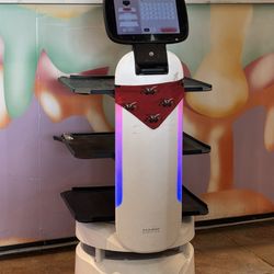 Mala Chili - Service Robot