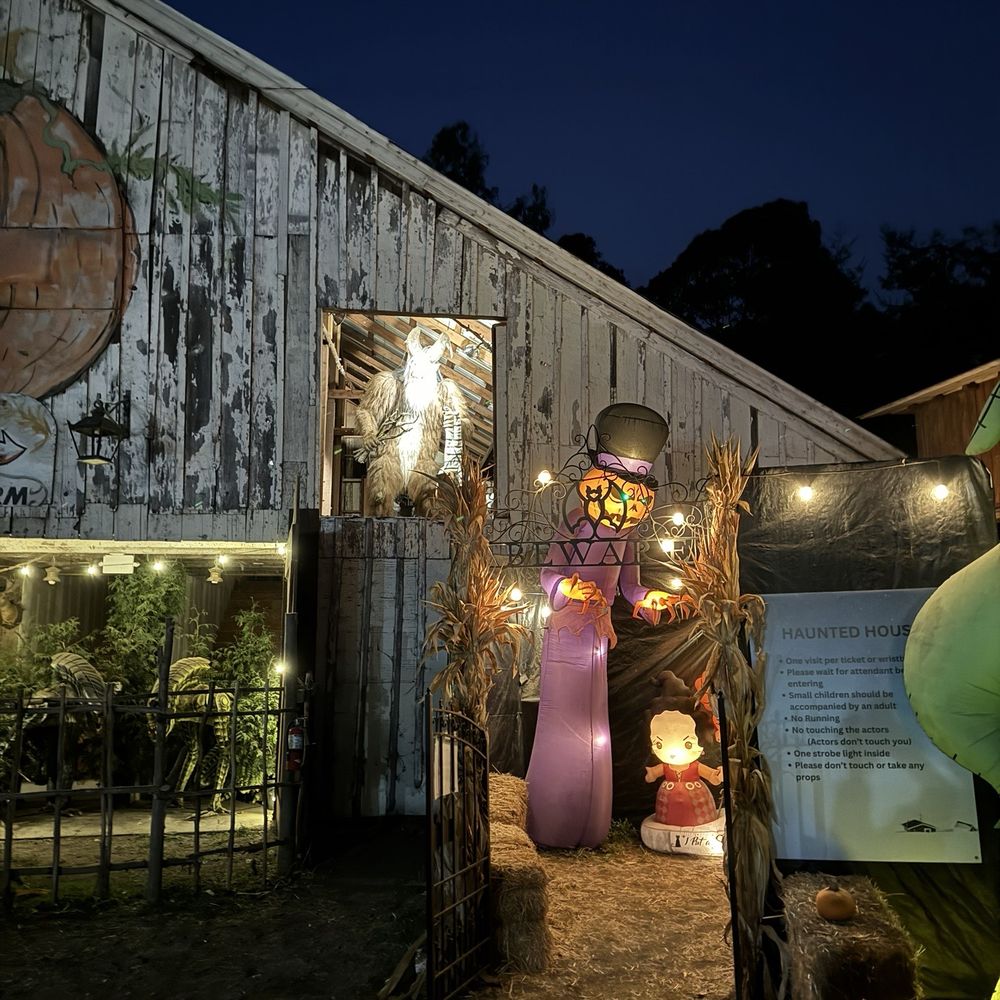 Arata's Pumpkin Farm - Christmas Trees Near Me - Half Moon Bay, California Arata's Pumpkin Farm - Christmas Trees Near Me - Half Moon Bay, California