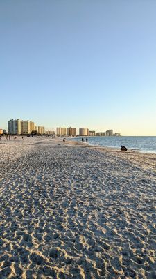 Sand Key Park by null