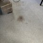 Photo of A1 Professional Carpet Cleaning