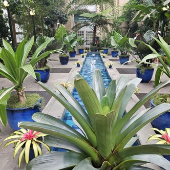 United States Botanic Garden - Botanical Gardens Near Me - Washington, DC, District of Columbia United States Botanic Garden - Botanical Gardens Near Me - Washington, DC, District of Columbia