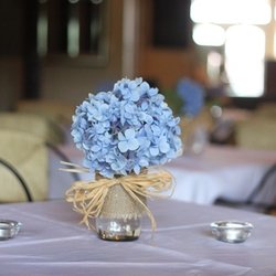 Hutcheon's Florist & Flower Delivery - Blue hydrangea mason jar