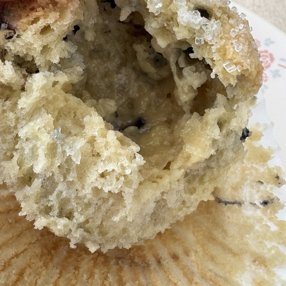 Fionas Coffee Bar And Bakery - Bagels Near Me - Willoughby, Ohio