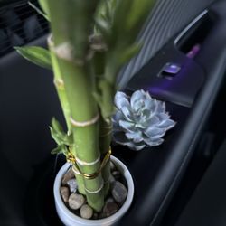 Lowe's Home Improvement - New friends