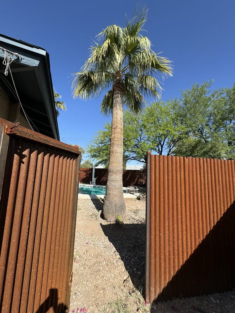 Quality Tree Service - tree service in Tucson, AZ