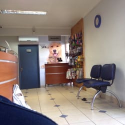Centro Veterinario Padre Hurtado - Entrada!!