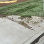 Photo of Excellence Landscaping And Maintenance