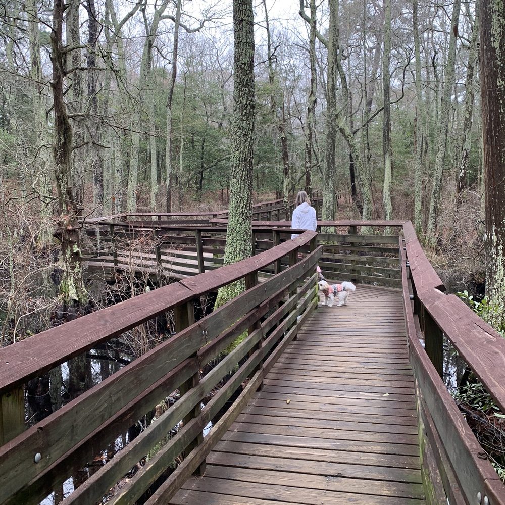 First Landing State Park - Beautiful walks over swamps - Parks Near Me - Virginia Beach, Virginia