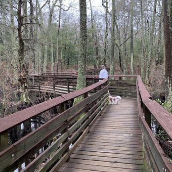 First Landing State Park - Beautiful walks over swamps - Parks Near Me - Virginia Beach, Virginia First Landing State Park - Beautiful walks over swamps - Parks Near Me - Virginia Beach, Virginia